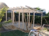Shed_day_4.jpg