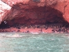 Peru_Balistas_sea_lions_cave.jpg