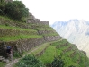 Peru_Inka_day3_terraces.jpg