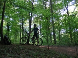 Dk_mtb_marselisborg_skov.JPG